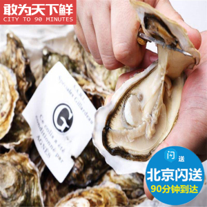 法国进口吉娜朵生蚝 鲜活牡蛎 送生蚝刀 非吉拉多 G字标 3只起拍