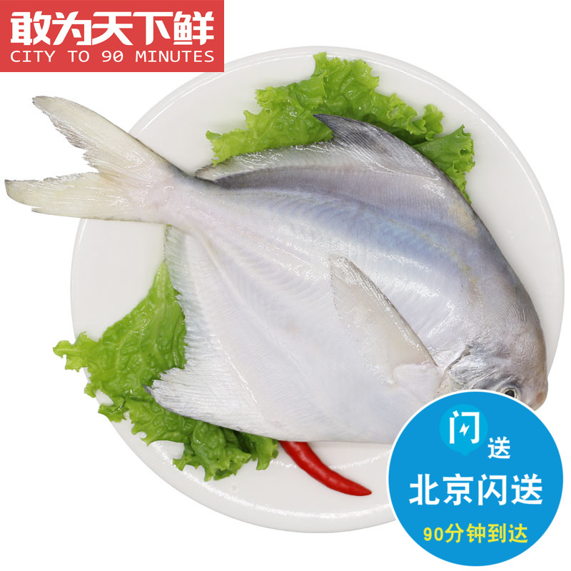 2条 每条4-5两 北京闪送 新鲜平鱼冰鲜东海大白鲳鱼海鲜水产,水产肉类/新鲜蔬果/熟食,鲳鱼,淘宝优惠券,粉丝福利购,淘宝优惠卷