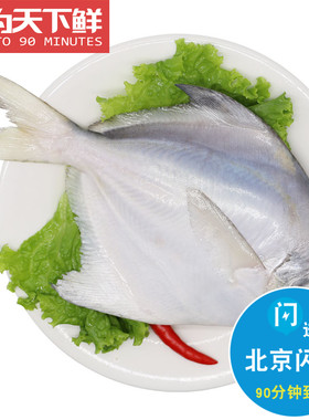 2条 每条4-5两 北京闪送 新鲜平鱼冰鲜东海大白鲳鱼海鲜水产
