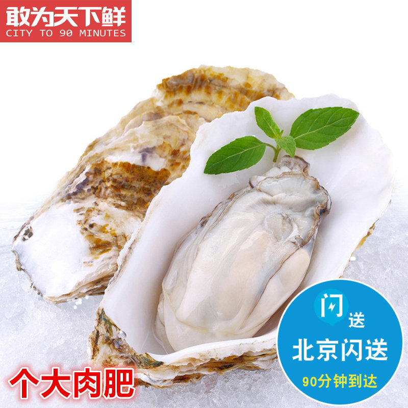 5-6两/只 北京闪送 冰岛生蚝 鲜活 水产海鲜新鲜牡蛎 烧烤清蒸