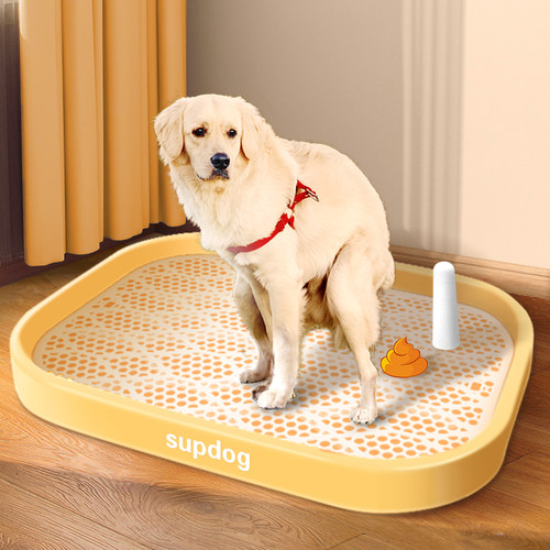 超大空间定点上厕所全犬通用