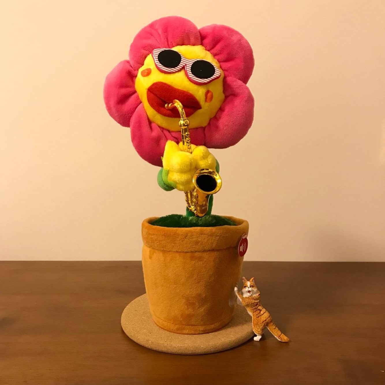 抖音同款萨克斯妖娆花