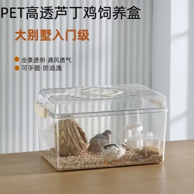 芦丁鸡仓鼠饲养箱育雏保温箱