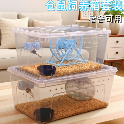仓鼠饲养箱套装睡鼠饲养盒透明宿舍仓鼠盒小仓鼠饲养盒仓鼠用品