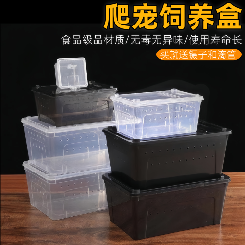 爬虫饲养盒爬宠箱蜘蛛角蛙守宫蜥蜴寄居蟹蜗牛蛇昆虫乌龟缸人渣盒