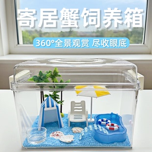 寄居蟹饲养盒相手蟹沙蟹饲养缸寄居蟹活体新手饲养套餐高透饲养箱
