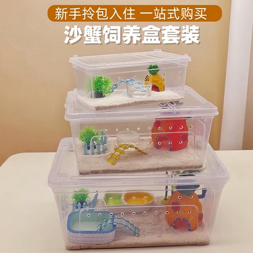 中华沙蟹饲养盒沙蟹生态缸宠物小螃蟹桌面宠物办公室儿童节礼物