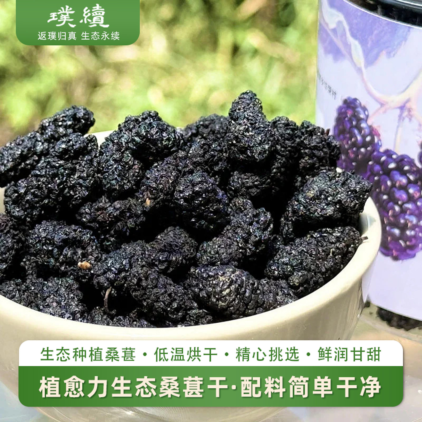 植愈力生态桑葚干梓盟农场配料简单食材干净低温烘干零食烘焙冲泡