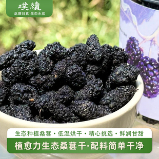 植愈力生态桑葚干梓盟农场配料简单食材干净低温烘干零食烘焙冲泡
