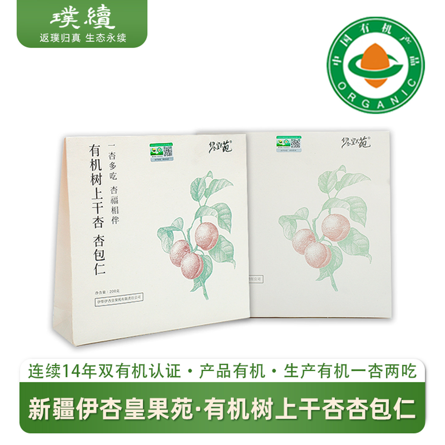 有机树上干杏杏包仁新疆伊杏皇果苑杏干伊犁树上自然吊干树上熟