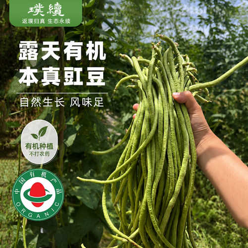 高原有机豇豆云南华坪庄代康应季露天种植现摘新鲜长豆角生鲜蔬菜