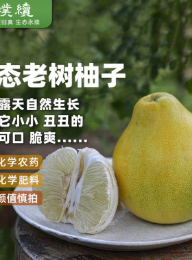 生态老树柚子高山老品种酸甜小丑柚脆嫩多汁白肉心柚整箱4.8斤
