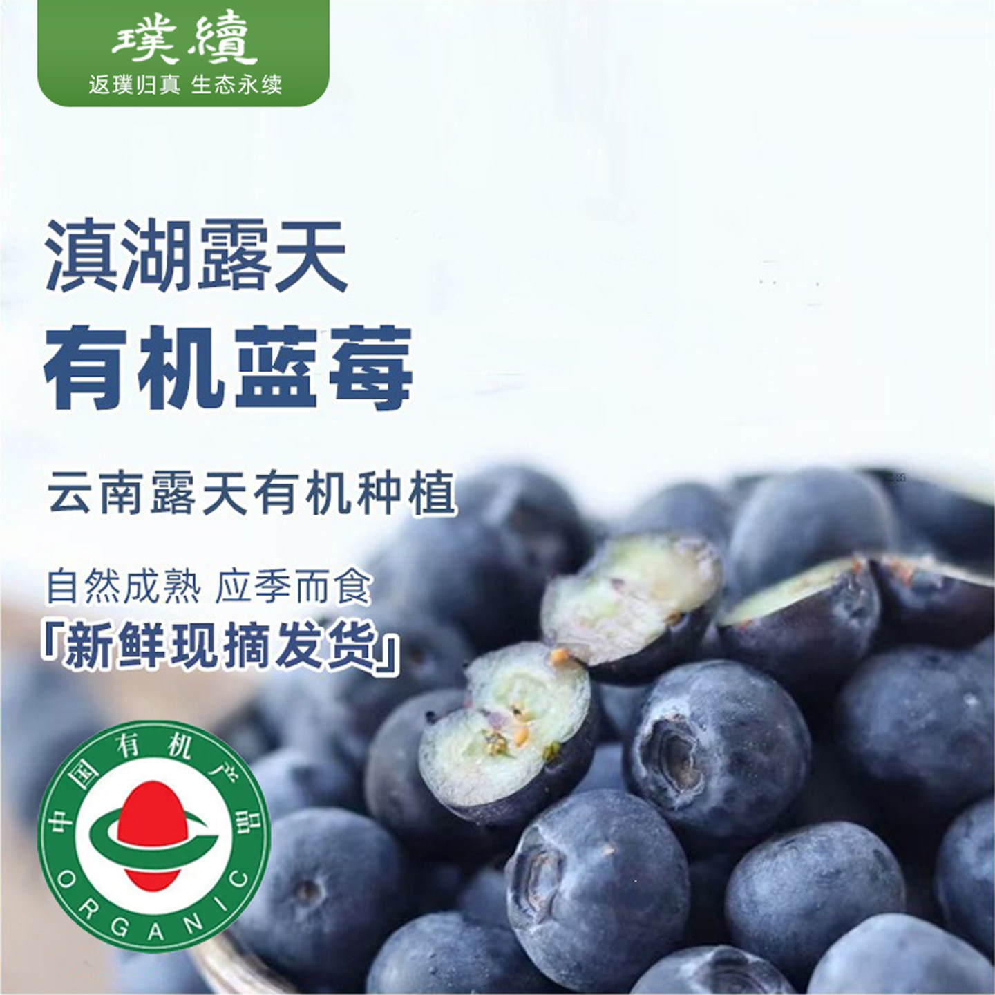 排单采摘云南滇湖有机蓝莓高原露天应季现摘125g*6盒脆甜孕妇小孩