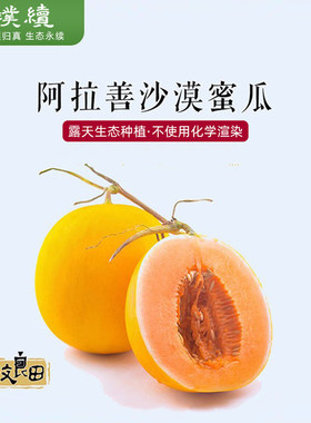 致良田大漠蜜瓜金红宝哈蜜瓜