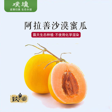 致良田大漠蜜瓜金红宝白银蒂西州哈蜜瓜沙漠新鲜水果应季香甜6斤