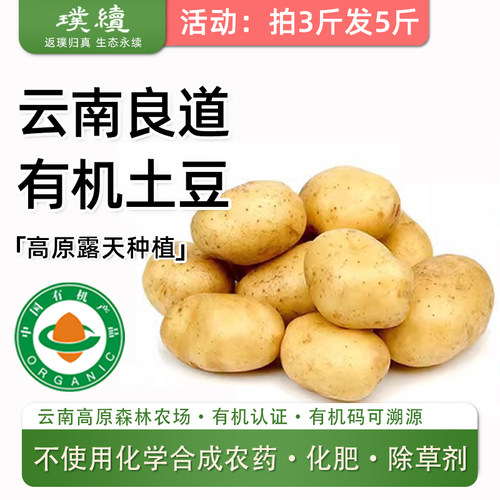 云南高原有机黄心土豆良道马铃薯
