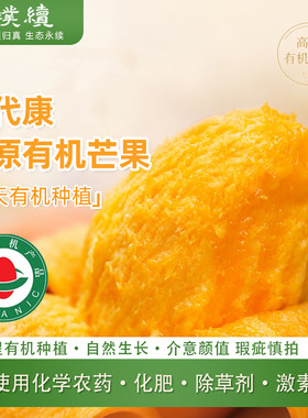 庄代康高原有机芒果云南干热河谷高山有机种植新鲜采摘当季水果