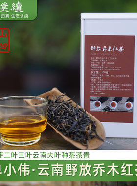 山凹凹野放乔木红茶小罐红茶单小伟2025云南滇红焦甜100克罐装
