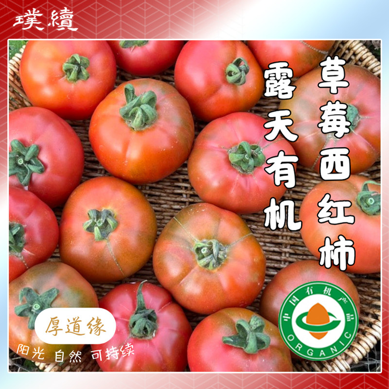 露天有机草莓番茄西红柿庄代康云南铁皮草莓自然熟生吃沙瓤现摘,水产肉类/新鲜蔬果/熟食,番茄,淘宝优惠券,粉丝福利购,淘宝优惠卷