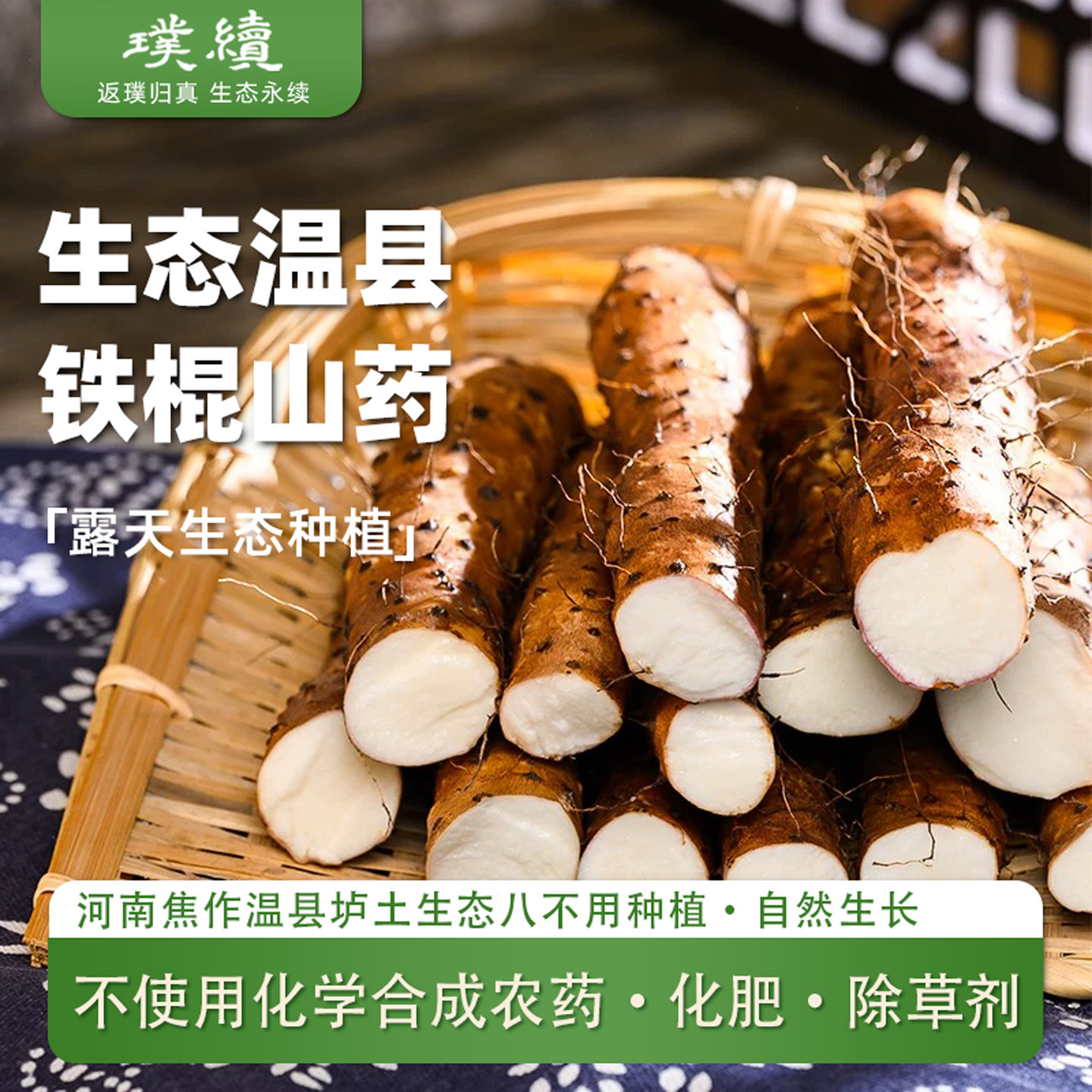 生态温县铁棍山药垆土铁棍怀山河南焦作崔永利新鲜采挖铁杆5斤装