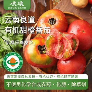 有机甜橙番茄良道西红柿云南有机农场铁皮草莓自然熟生吃沙瓤现摘