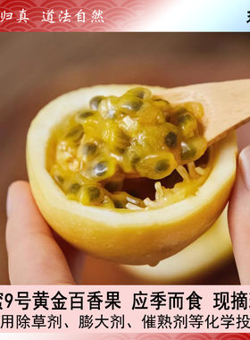 生态钦蜜9号黄金百香果黄芗果黄金新鲜水果当季黄金果甜果鸡蛋果