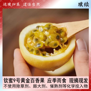 生态钦蜜9号黄金百香果黄芗果黄金新鲜水果当季黄金果甜果鸡蛋果