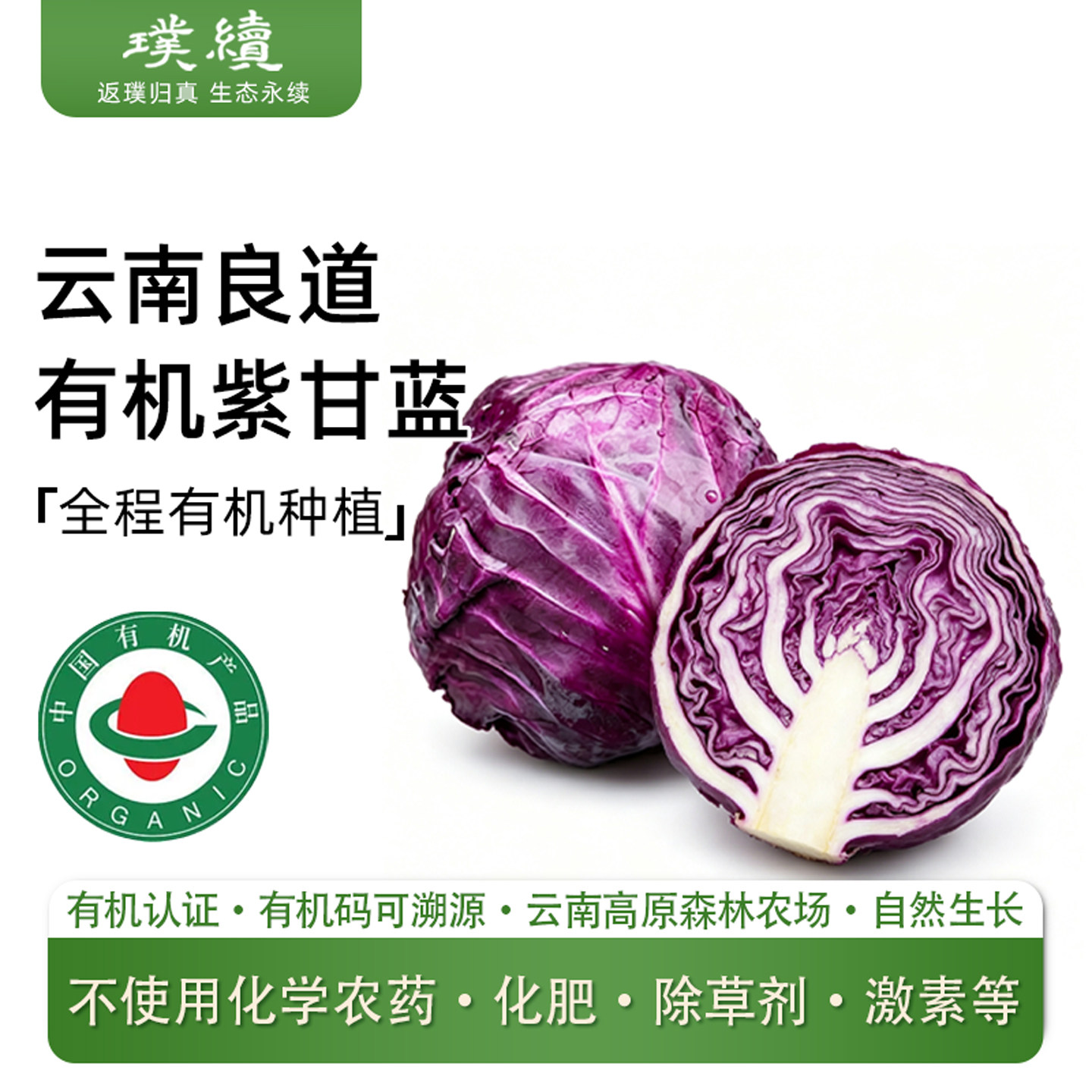 云南大理有机紫甘蓝新鲜蔬菜食材生吃榨汁顺丰卷心菜沙拉蔬菜椰菜