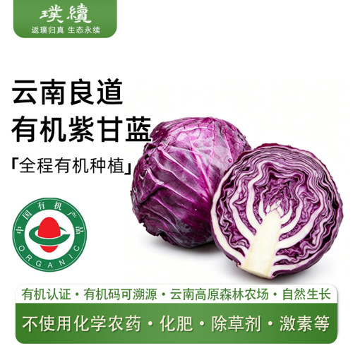 云南良道有机紫甘蓝新鲜蔬菜食材生吃榨汁顺丰卷心菜沙拉蔬菜椰菜