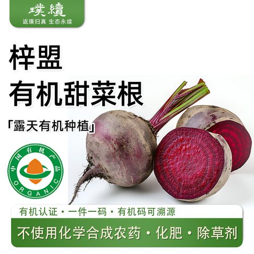 梓盟有机甜菜根云南高原露天