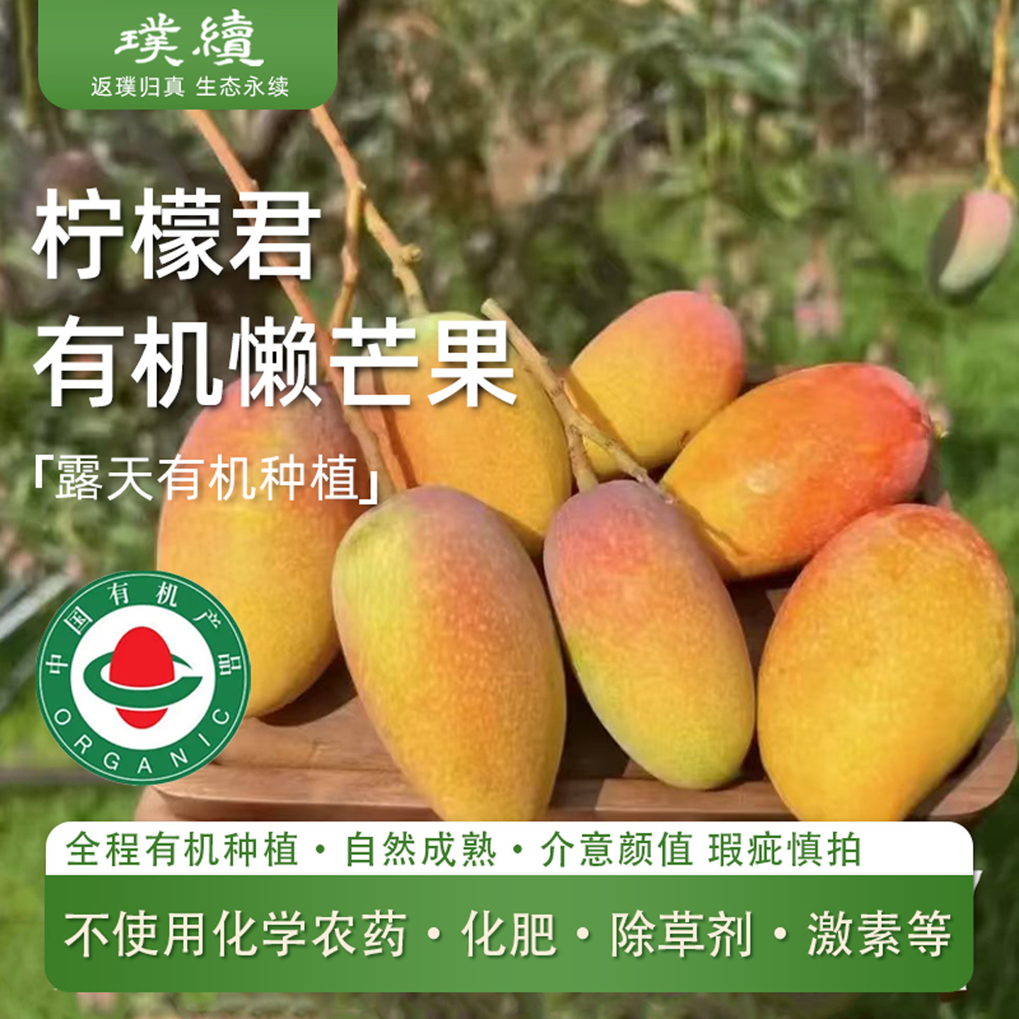 柠檬君有机懒芒果台农贵金妃凤凰新鲜采摘4.8斤云南当季水果