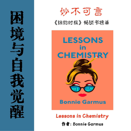 Lessons in Chemistry 电子资料妙不可言 女性成长时代社会