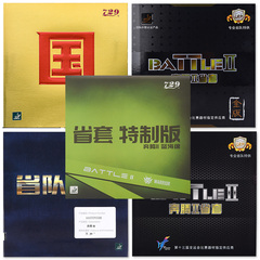 友谊729奔腾2省套金版乒乓球胶皮球拍反胶套胶省队NEO蓝海绵国套3