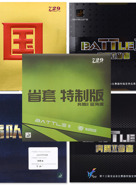 友谊729奔腾2省套金版乒乓球胶皮球拍反胶套胶省队NEO蓝海绵国套3