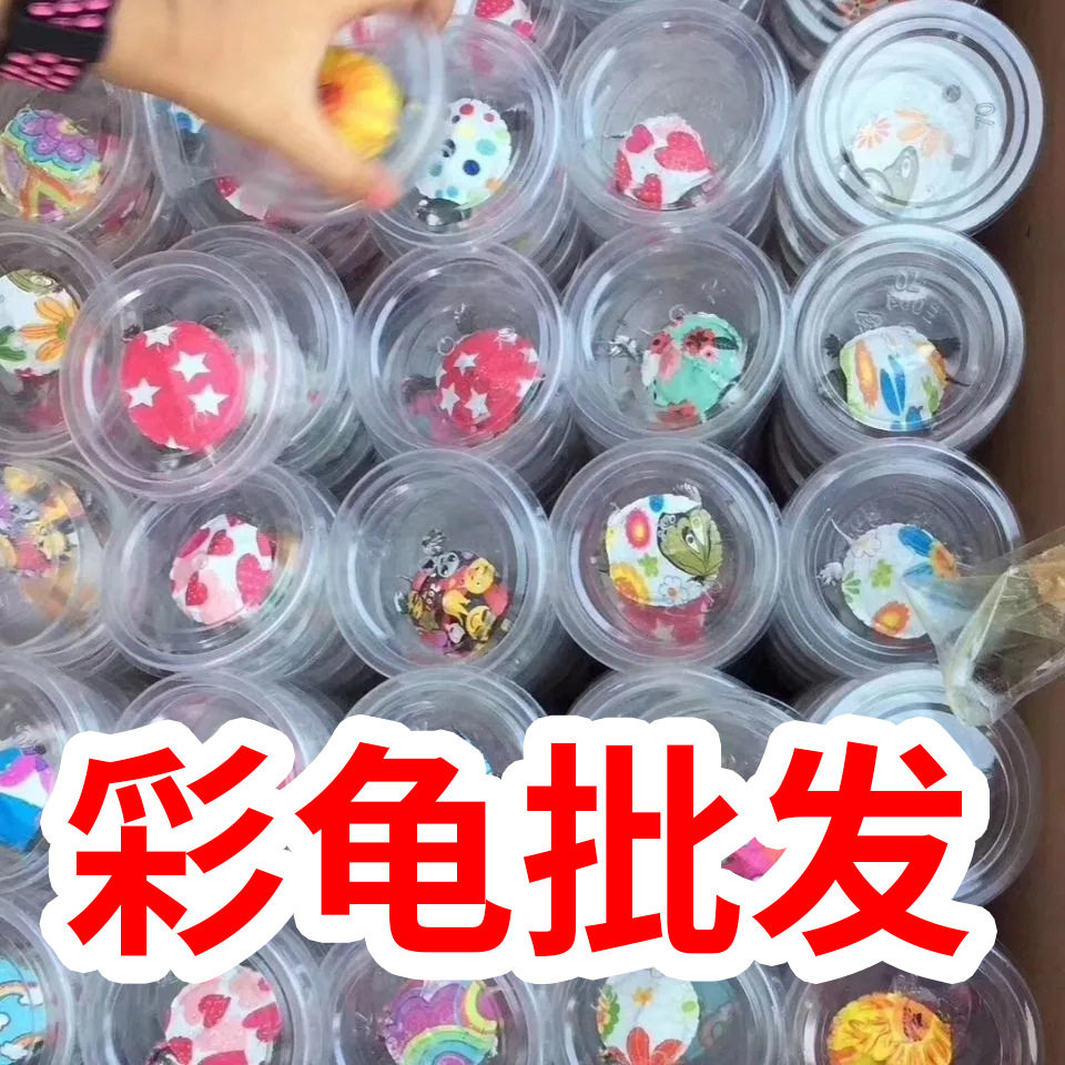 彩龟珍珠龟巴西龟苗子中华草龟花龟台湾草龟观赏龟深水龟养殖场