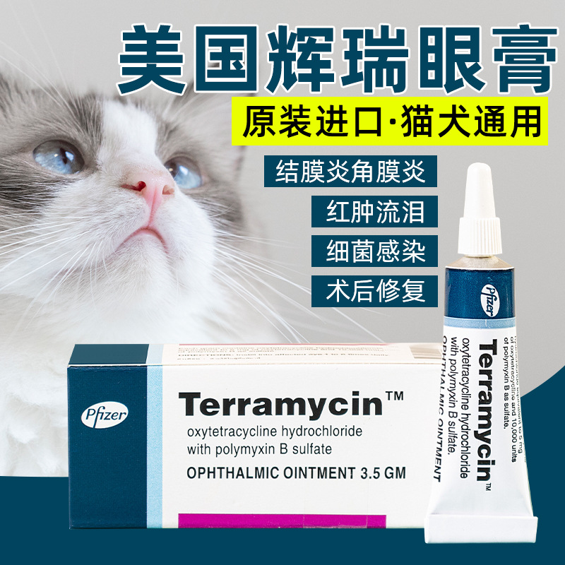 美国辉瑞眼膏猫咪狗狗眼部疾病角膜发炎药膏眼睛发炎红肿流泪泪痕 宠物/宠物食品及用品 眼部清洁 原图主图