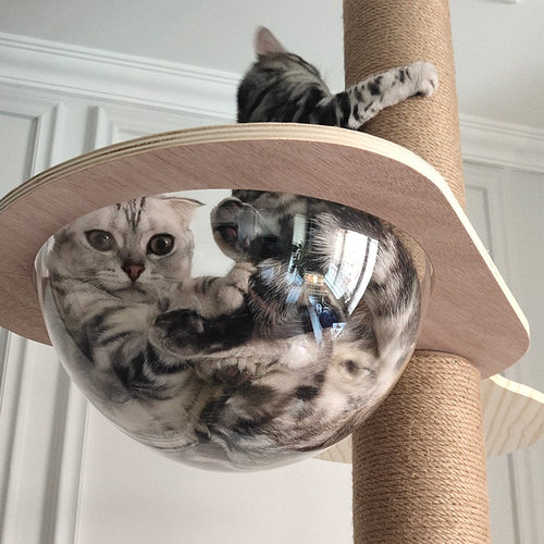 配件通天柱萌助实木猫爬架太空舱