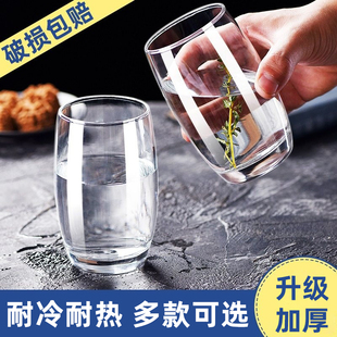 玻璃杯家用耐高温待客水杯客厅杯子套装啤酒杯透明高级感喝水茶杯
