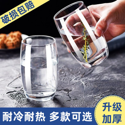 玻璃杯家用耐高温待客水杯客厅杯子套装啤酒杯透明高级感喝水茶杯
