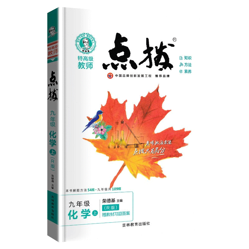 点拨九年上册化学人教版