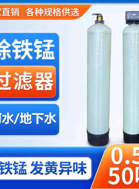 地下水除铁锰过滤器大流量全屋家用井水超标铁锈发黄锰砂过滤设备