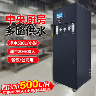 工厂用商务纯水设备RO净水器大流量反渗透商用纯水机自带压力桶