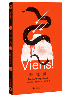 恐慌集 写后即焚的孤独女作家芭芭拉莫利纳尔神秘故事集广西师范大学出版社卡夫卡普拉斯卡林顿读者不可错过的神经故事集