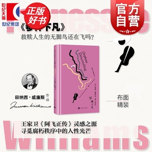 琴神下凡 田纳西威廉斯作品王家卫阿飞正传灵感之源上海译文出版社戏剧文学正版图书籍