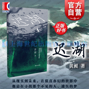 FUNNY有趣系列 苏童张定浩杨庆祥张菁推荐 黄昶短篇小说集上海文艺出版 图书 社真金青年文学写作总冠军作品集中国当代文学正版 迟湖