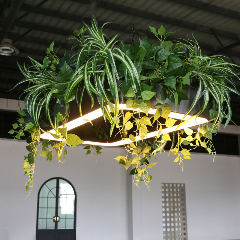 定制植物吊灯大型圆环形创意商业空间酒店餐厅休闲区景观绿植吊灯