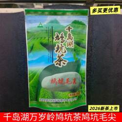 包邮 千岛湖万岁岭鸠坑茶125g袋装鸠坑毛峰毛尖炒青云雾口粮茶