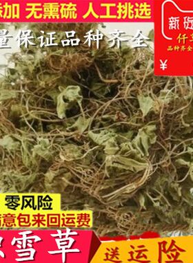 中药材新鲜晒干野生积雪草大碗