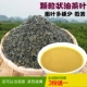 2025新茶桂林恭城专用打油茶茶叶嫩梗少绿黄微苦250克 三送一 包邮