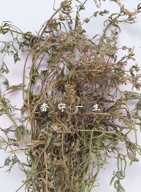 牛膝草薄荷干品干叶酿酒原料干枝